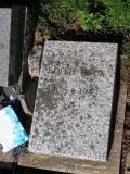image number Duns 261